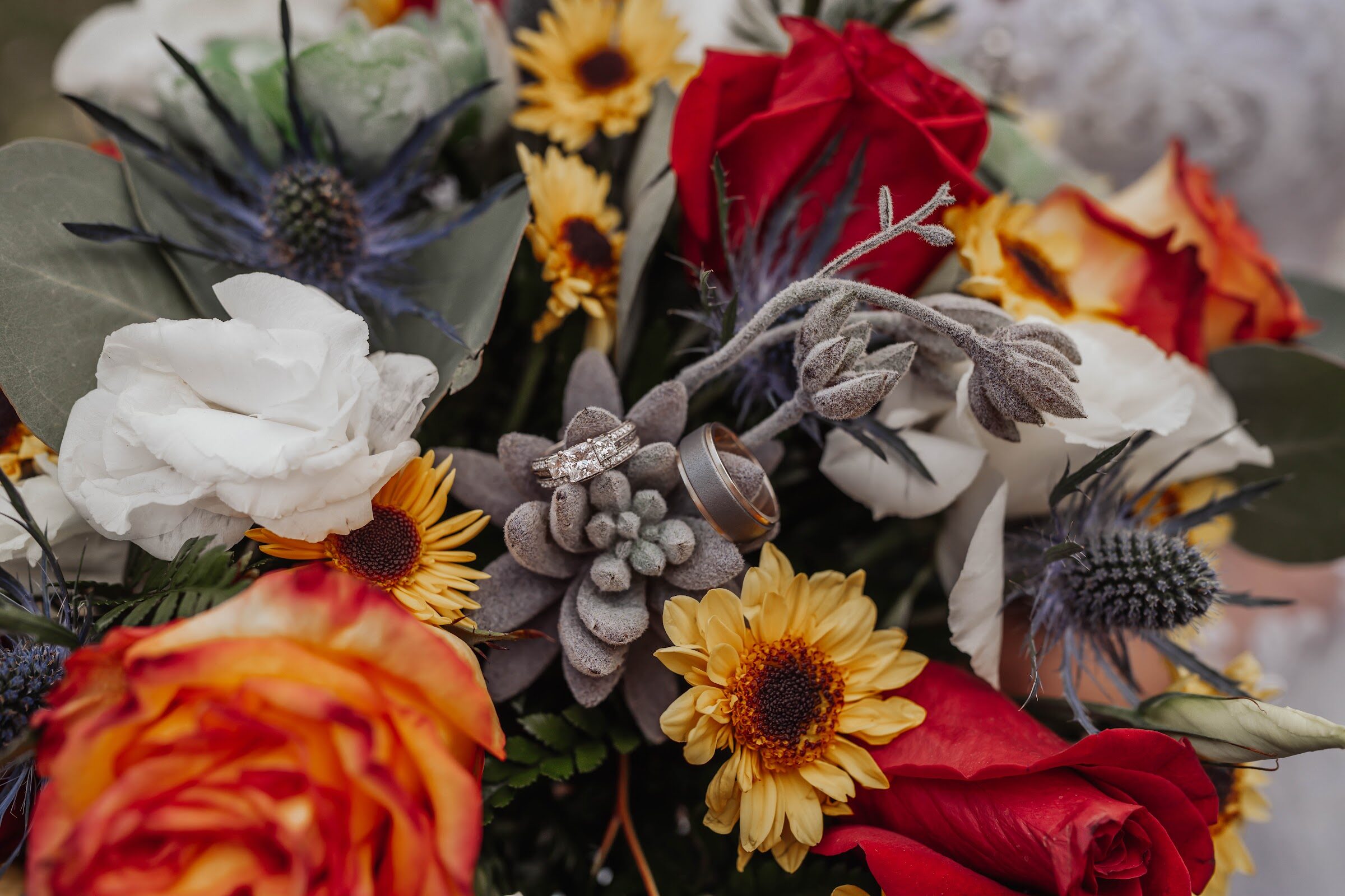 Detail Study photograph 40